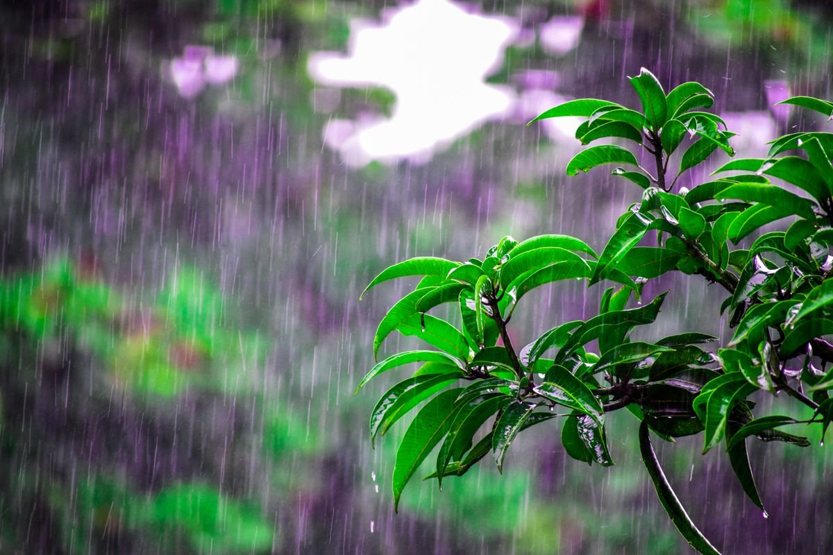Monsoon and Joint Pain in Kerala: Why It Flares and What Helps